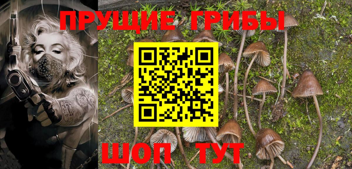 Псилоцибиновые грибы Cubensis  Вход с VPN  Псилоцибиновые грибы MAGIC MUSHROOMS  Сарапул 